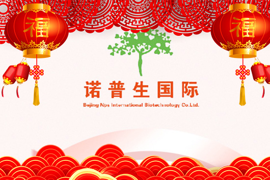 ţ\(yn)ţD(zhun)C(j)ZףԸţţ