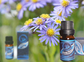 �Ϻ��ض����H�Q(m��o)�����޹�˾