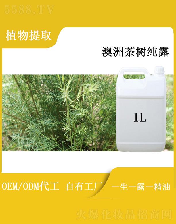 հ޲伃¶ 1L