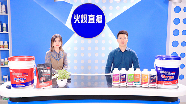 熱烈歡迎石佛園區(qū)運(yùn)營(yíng)中心魏主任一行蒞臨火爆網(wǎng)參觀指導(dǎo)!7 熱烈歡迎石佛園區(qū)運(yùn)營(yíng)中心魏主任一行蒞臨火爆網(wǎng)參觀指導(dǎo)!7