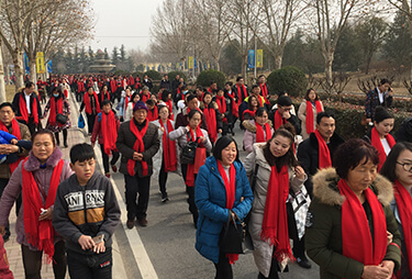 tϲc𱬾W(wng)y(tng)һoĸl(f)ϲct